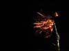tn_Picture 01 (37)